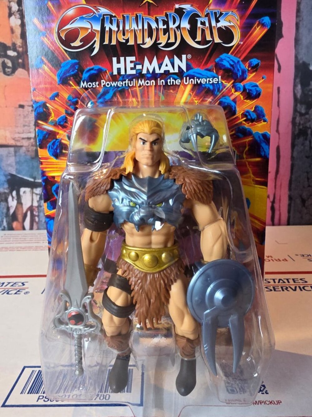 Mattel - Masters of the Universe x Thundercats He-Man